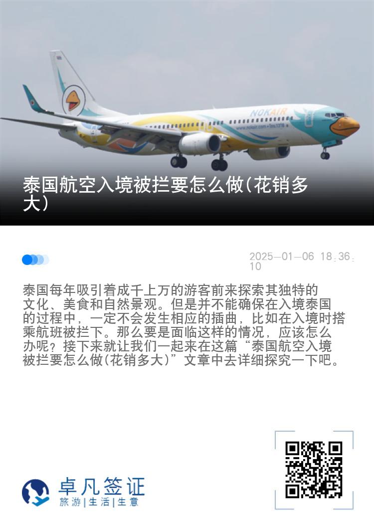 泰国航空入境被拦要怎么做(花销多大)